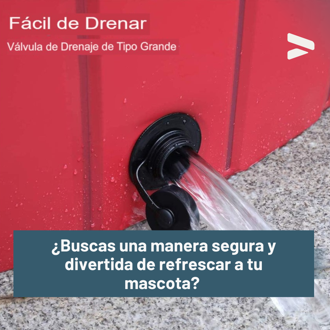 Piscina Plegable Para Mascota
