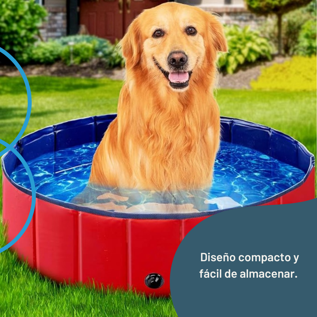 Piscina Plegable Para Mascota