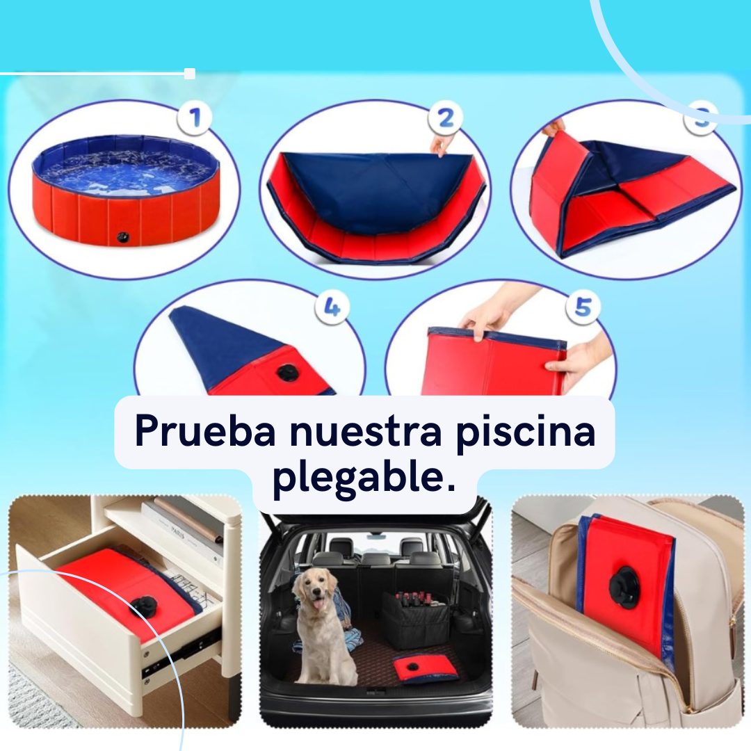 Piscina Plegable Para Mascota