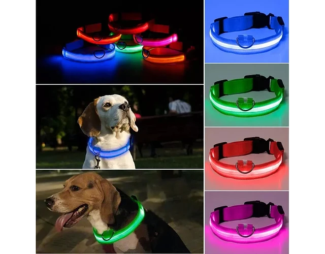 Collar Led para mascotas - Diverso