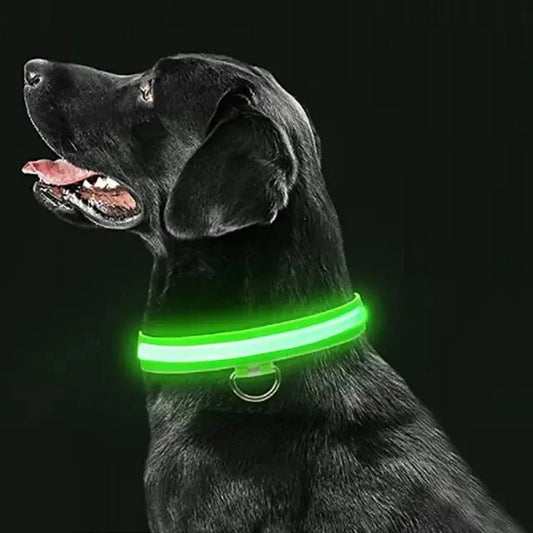 Collar Led para mascotas - Diverso